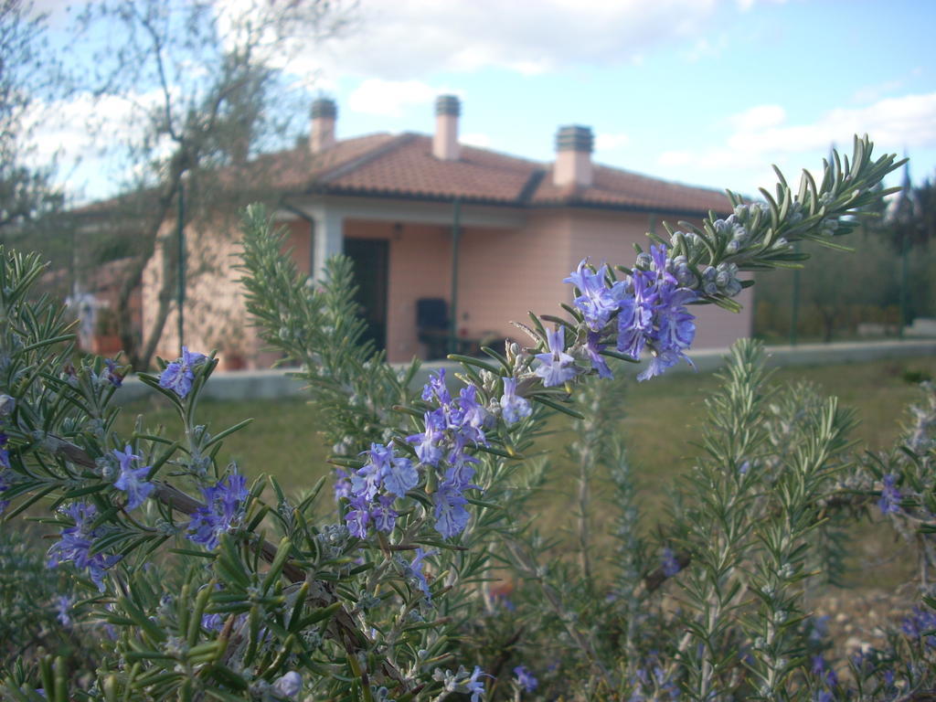Residence Ai Campi Da Golf Saturnia Habitación foto